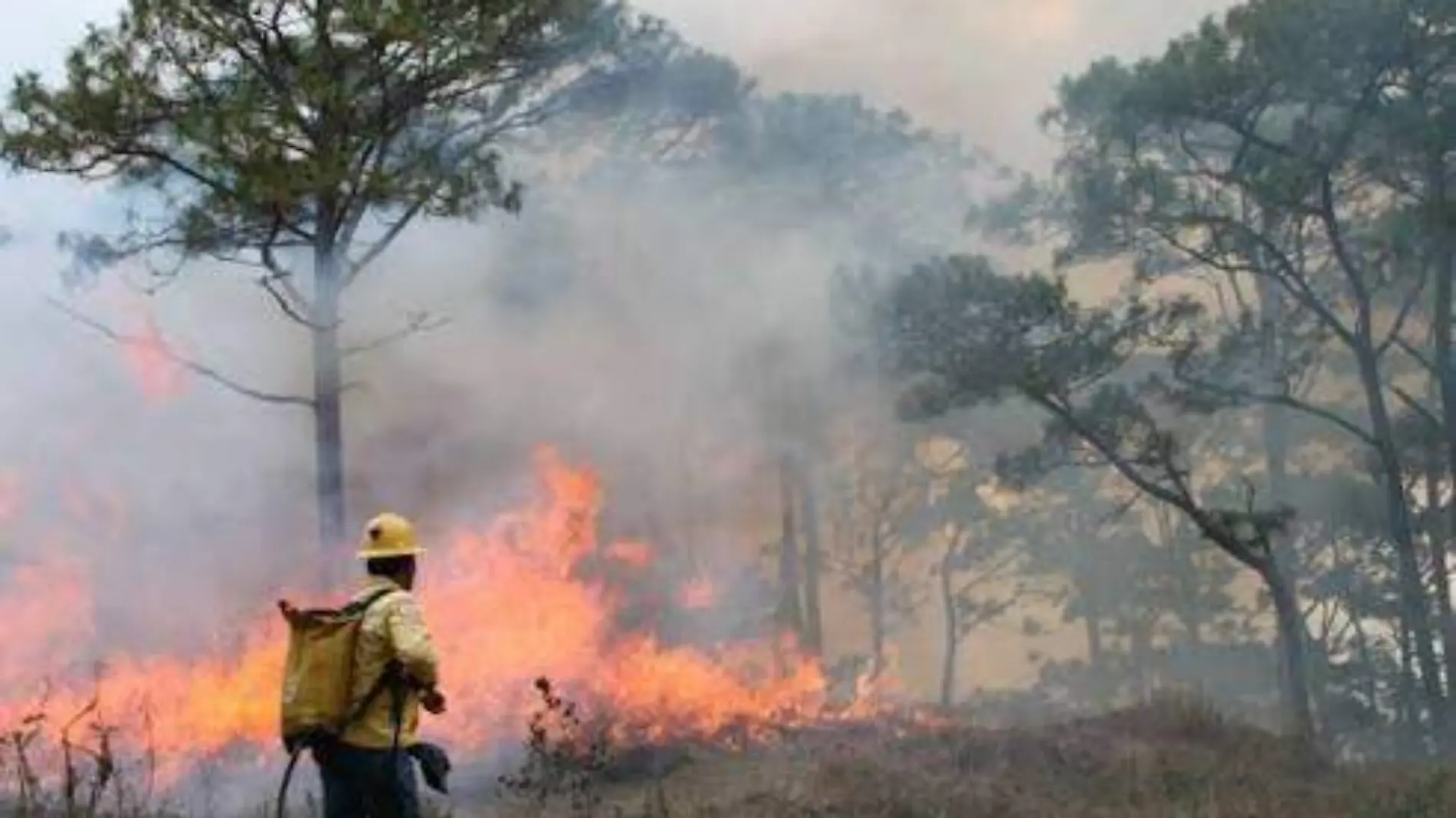 incendio tetela 80